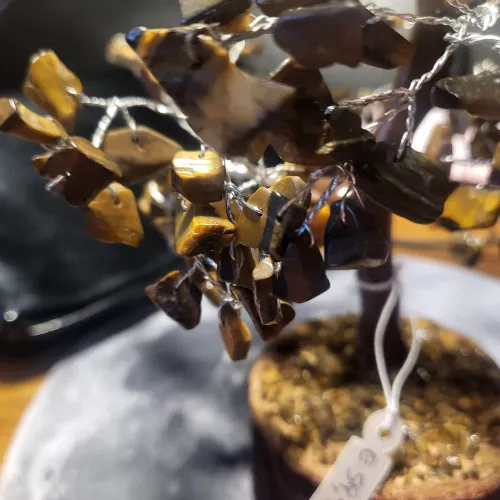 Albero occhio di tigre L'arcano segreto albero-schegge-tigre