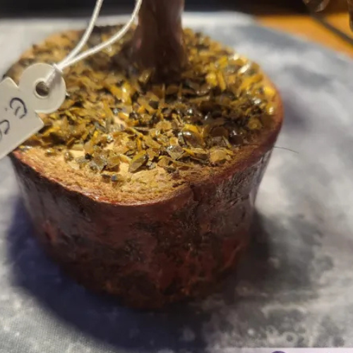 Albero occhio di tigre L'arcano segreto albero-schegge