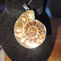Ciondolo Vortice del Destino in Acciaio con Grande Ammonite