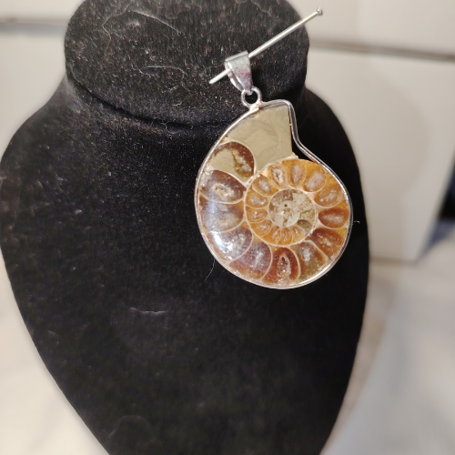 Ciondolo "Spirale del Tempo" in Acciaio con Ammonite Originale