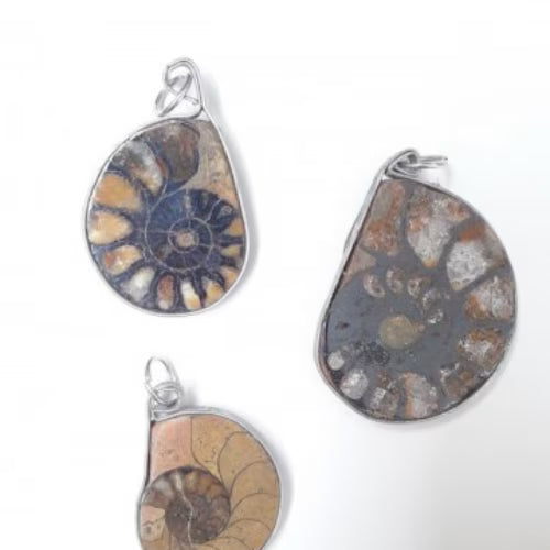 Ciondolo con Ammonite fossile L'arcano segreto ciondolo-ammonite