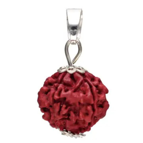 Ciondolo seme di rudraksha dell'India