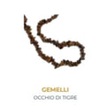 Collana Astro Gemelli - L'arcano segreto