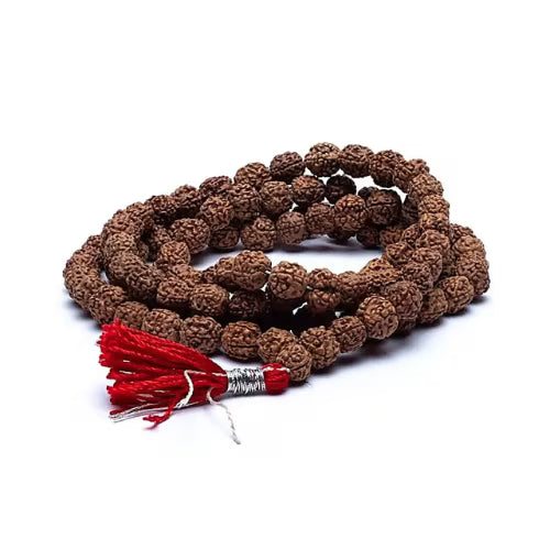 Mala Rudraksha 108 grani - L'arcano segreto