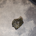 Moldavite naturale grezza