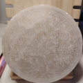Piastra selenite circolare albero della vita