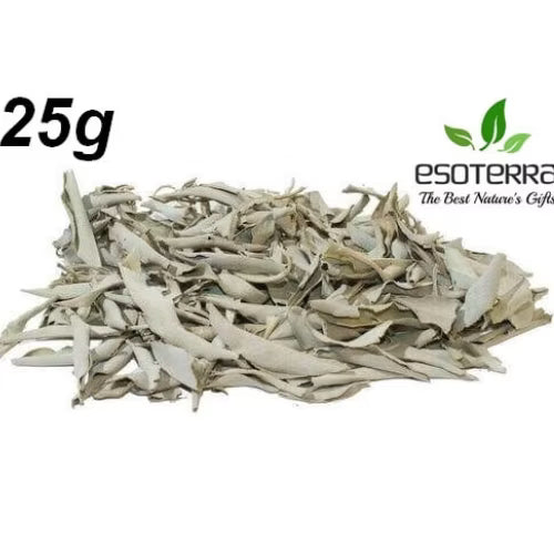 Salvia bianca California Esoterra L'arcano segreto salvia-foglie